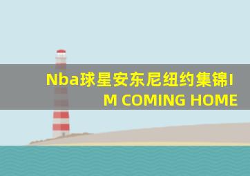 Nba球星安东尼纽约集锦I M COMING HOME